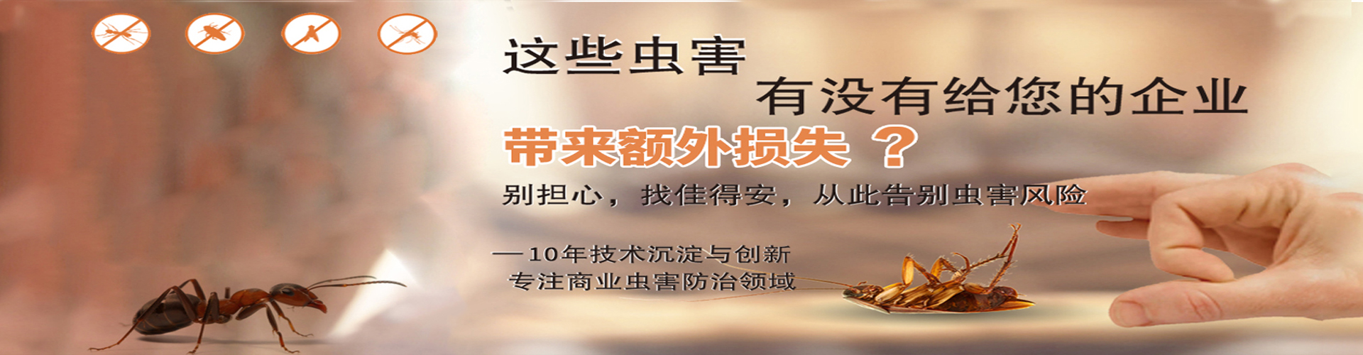 適用于輸送易于掏取的粉狀、粒狀、小塊狀的低磨琢性物料及袋裝物料